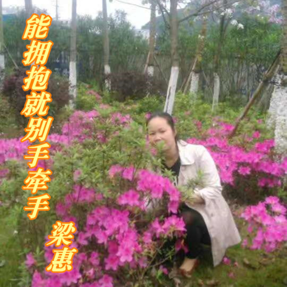 拥抱简谱歌词_背对背拥抱简谱(3)