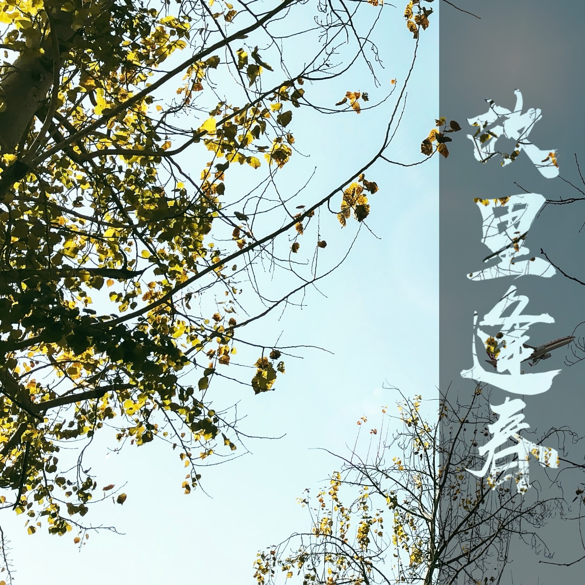 1908公社韦琴琴故里逢春