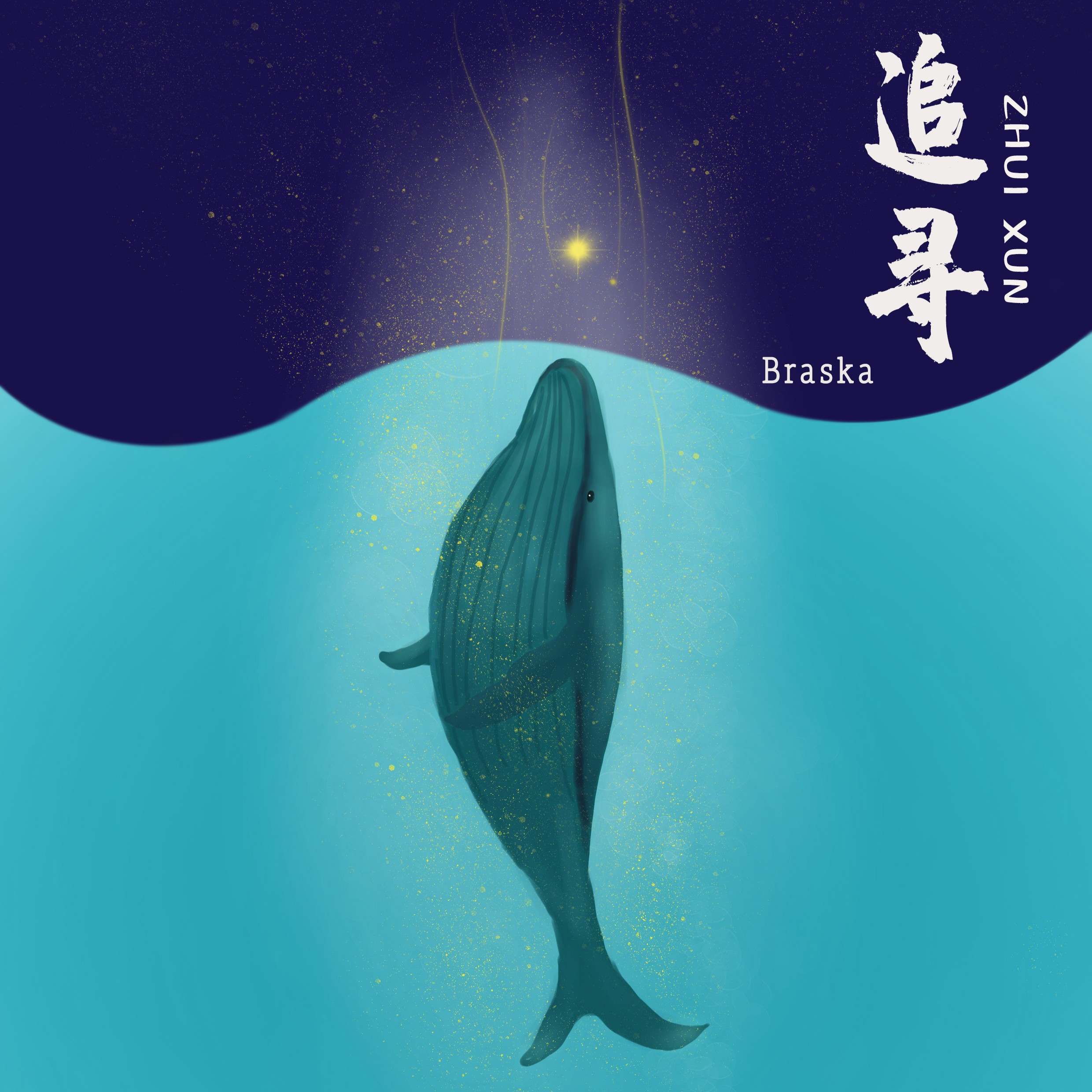 braska追寻