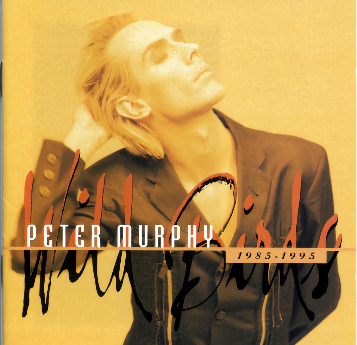 peter murphy - i"ll fall with your knife