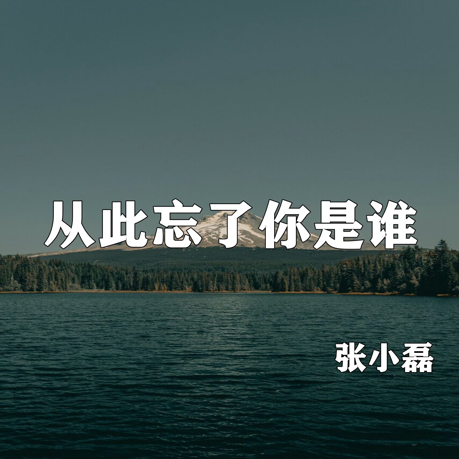 从此忘了你是谁_张小磊_高音质在线试听_从此忘了你是谁歌词|歌曲下载