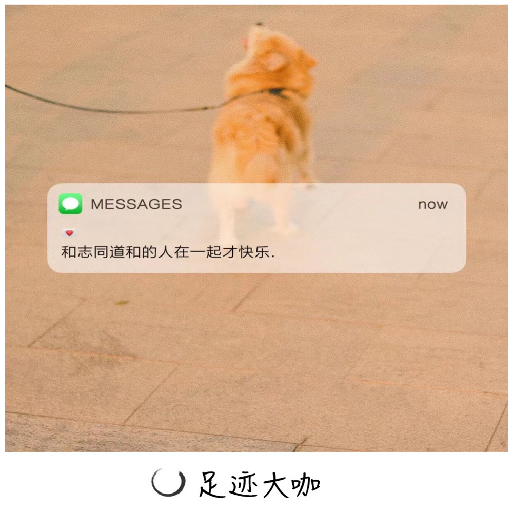 ducer man_南辞__高音质在线试听_producer man歌词