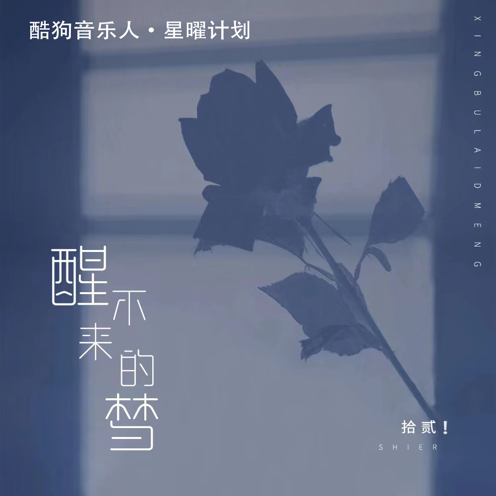 曲谱醒不来的梦_醒不来的梦古筝曲谱(3)