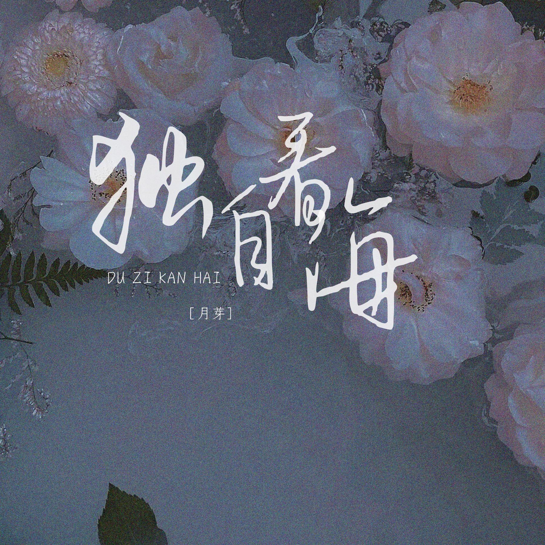 看海简谱_看海的街道简谱(2)