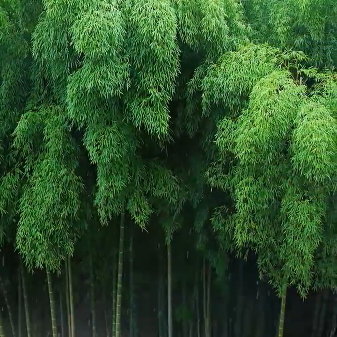 一晃就老了歌词和简谱_一晃就老了简谱