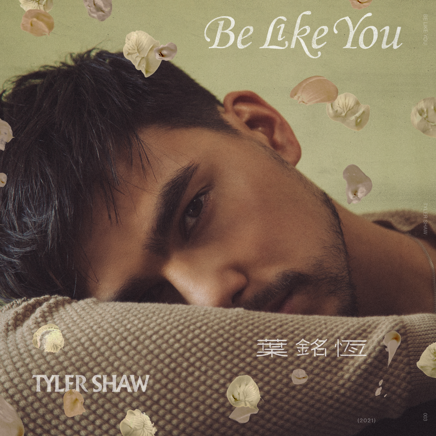 tyler shaw - be like you