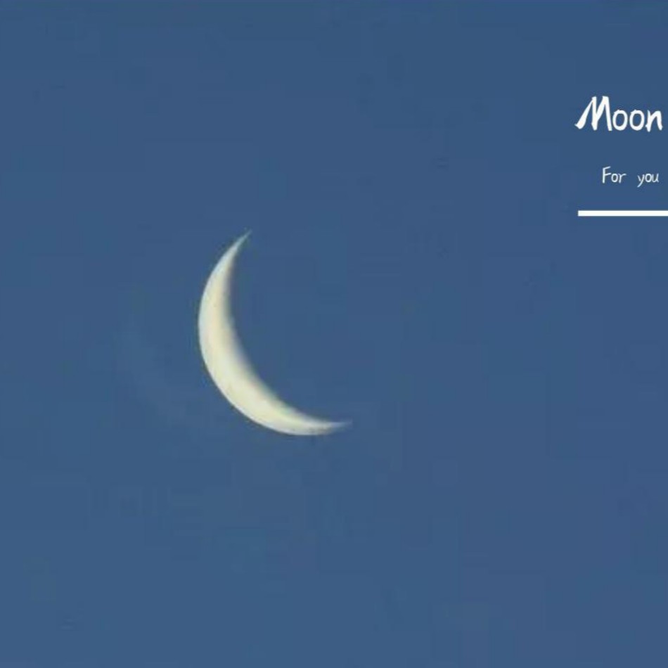 夜晚看见月亮(Pyb)