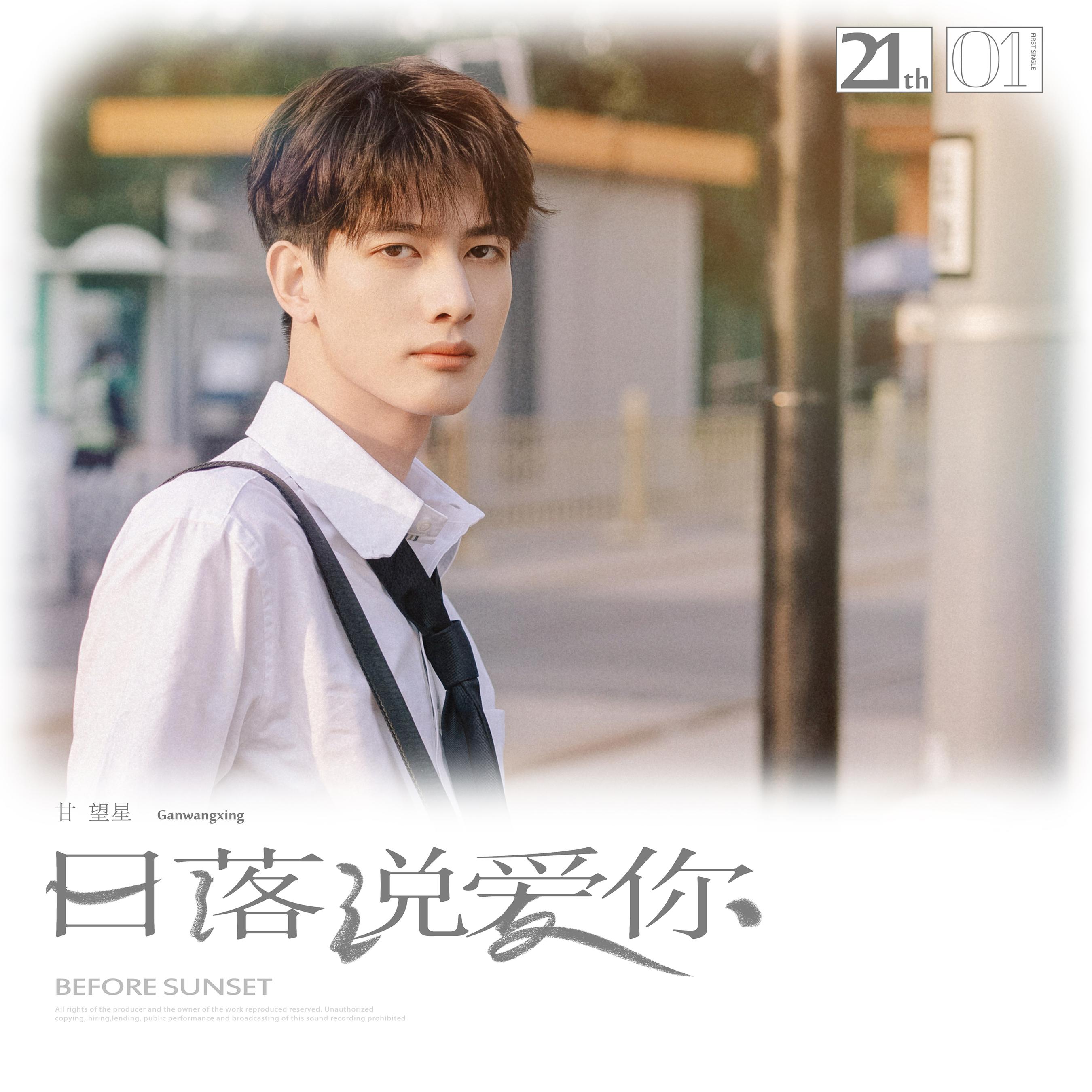 日落说爱你(甘望星)
