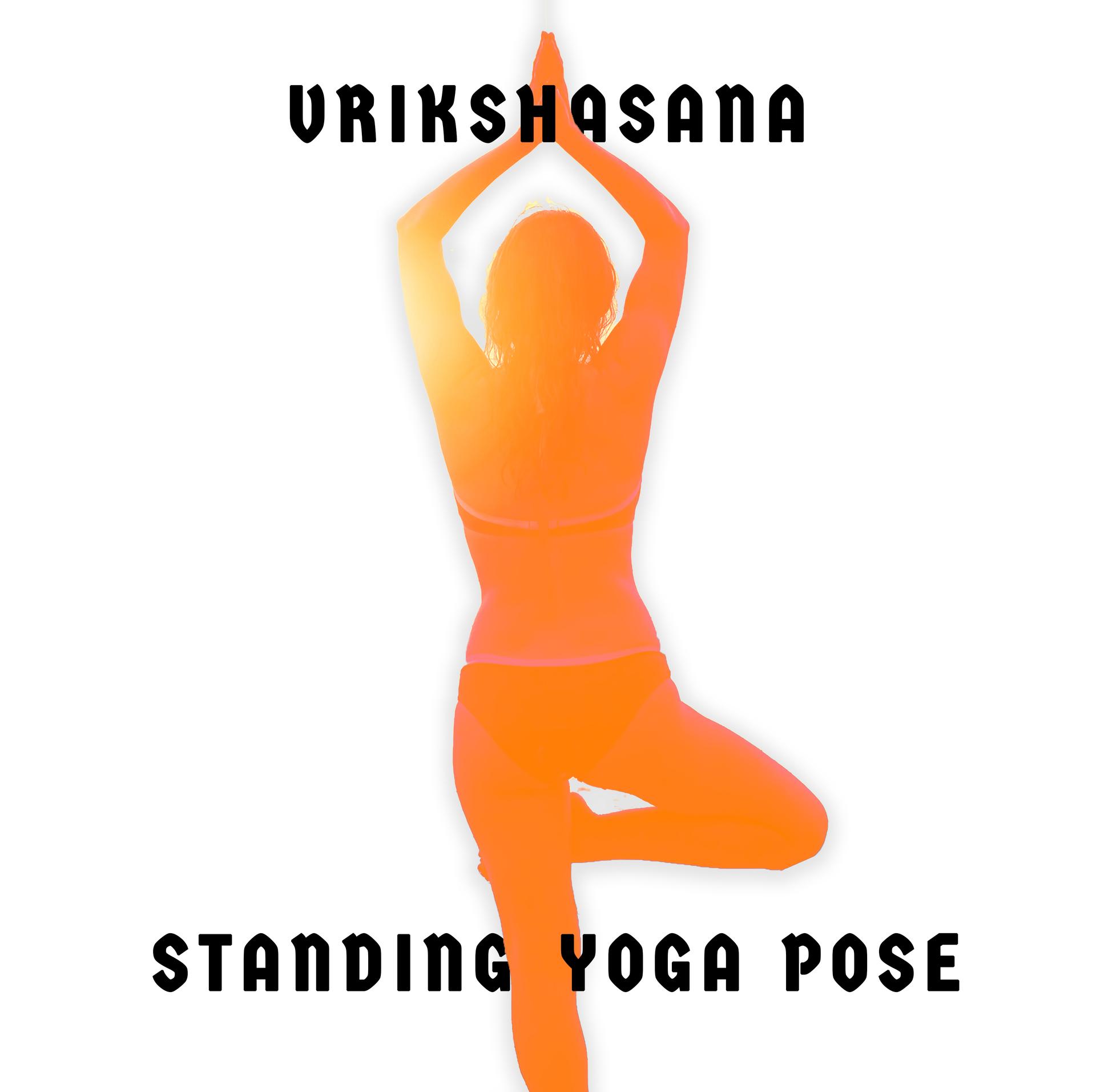 Stretching For The Four Windsyoga Bliss、yoga Followers Society高音质在线试听