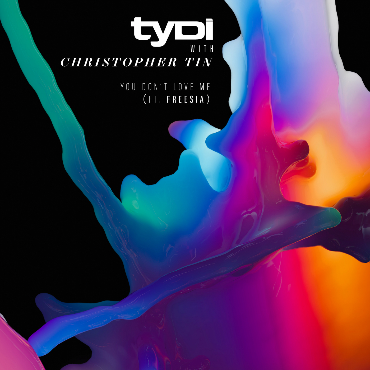 You Don t Love Me Christopher Tin tyDi Freesia You Don t Love 