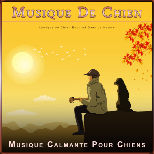 Musique apaisante pour animaux_Musique Calmante Pour Chiens、Musique D