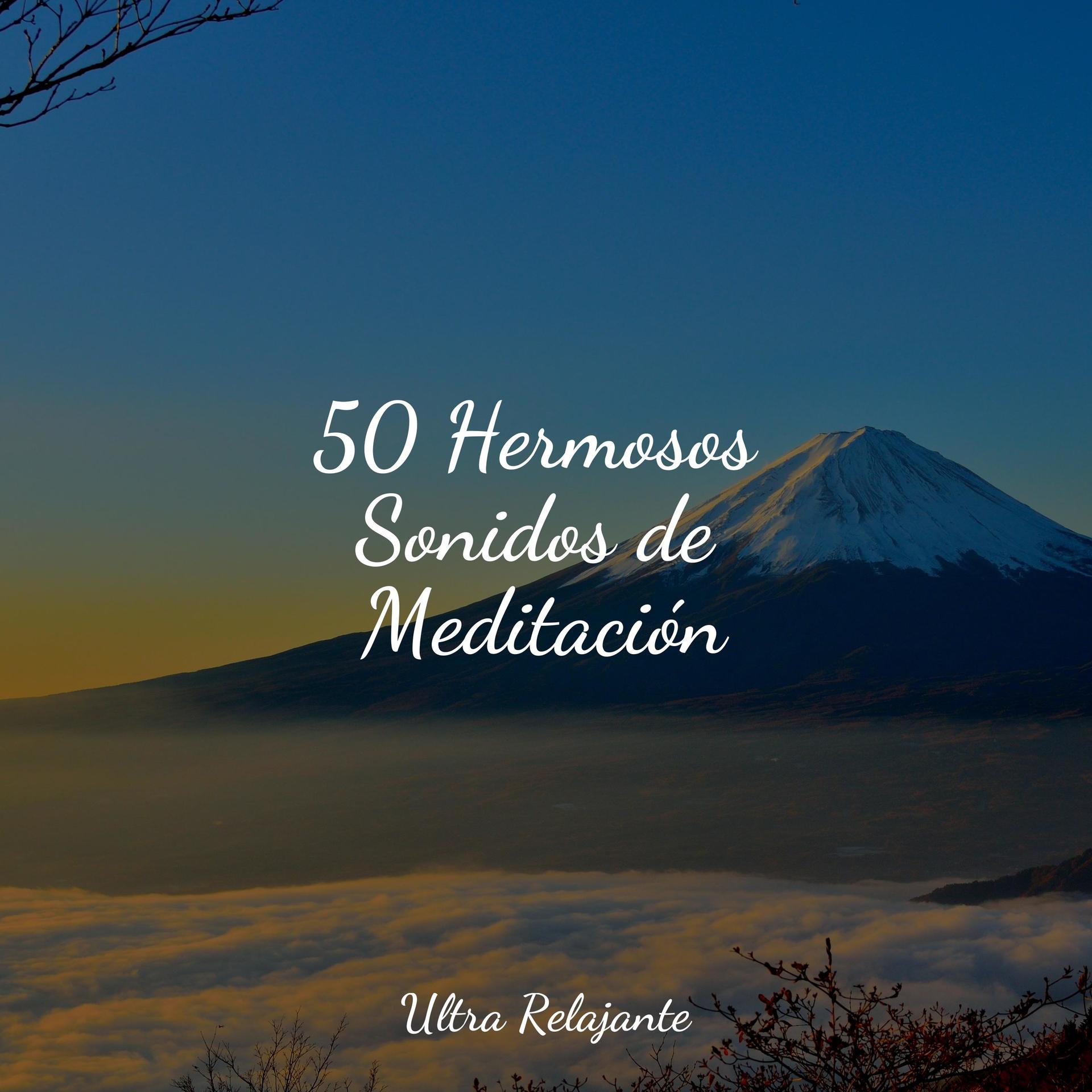 Om Musica Para Meditacion Profundanaturaleza Sonidosdormir Sol