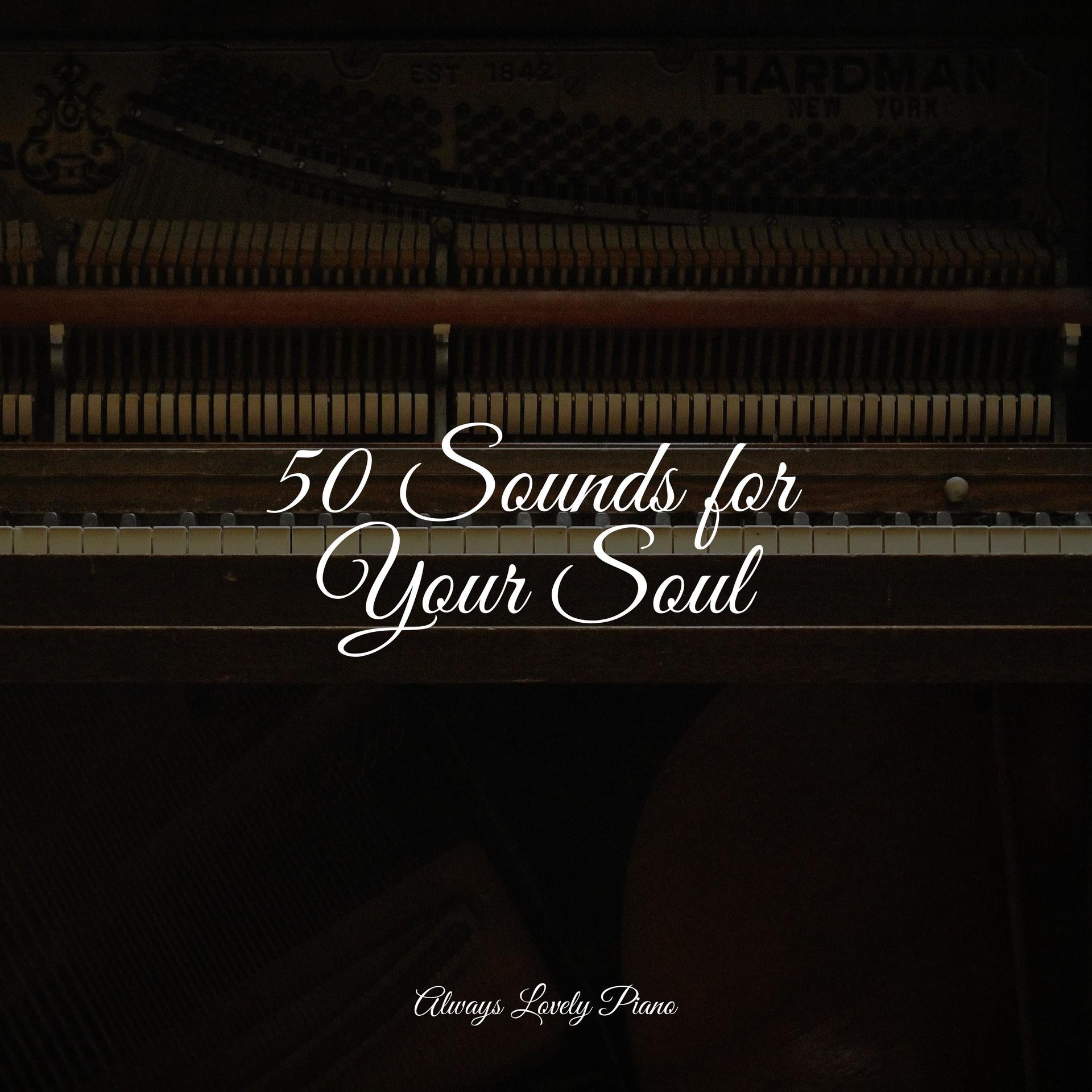 Gentler Times Classical Lullabies Chillout Lounge Piano Piano 