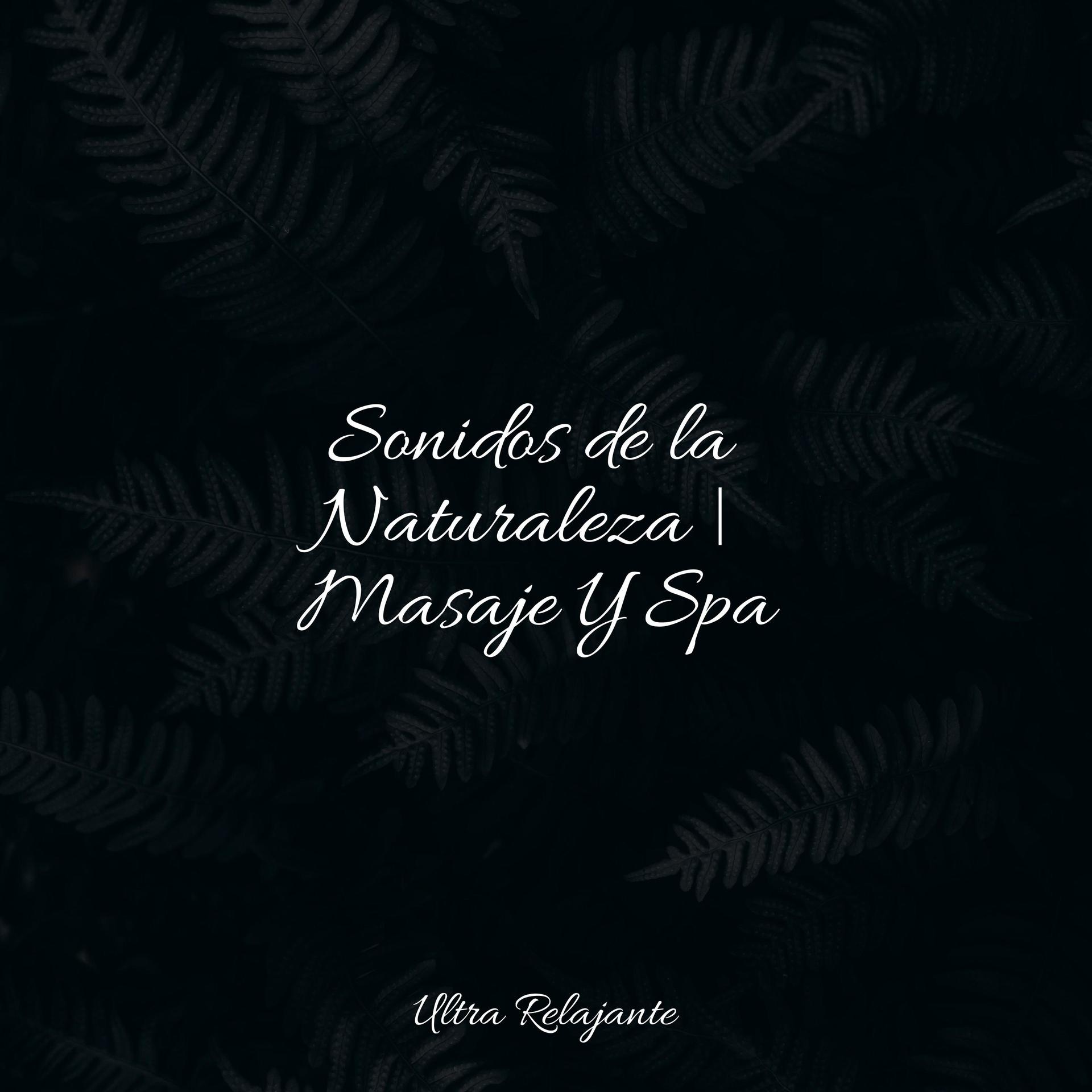 Canciones Calmantes Para El Alma Relajante MusicaMasaje Tantrico