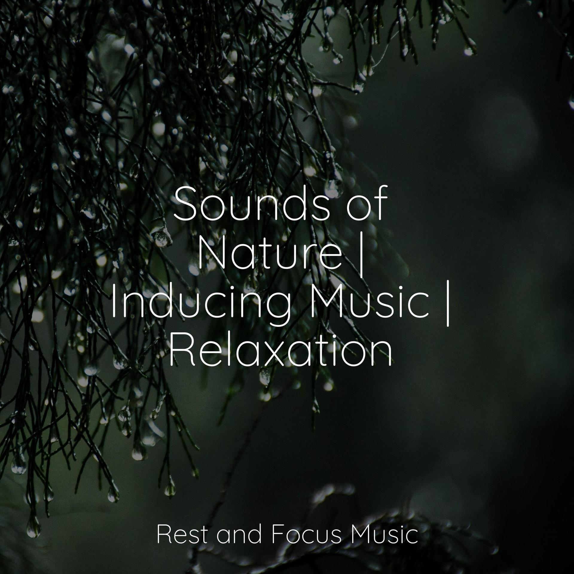 Feeling Healthy_Musique Zen Garden、Wellness、Tinnitus Aid_高音质在线试听