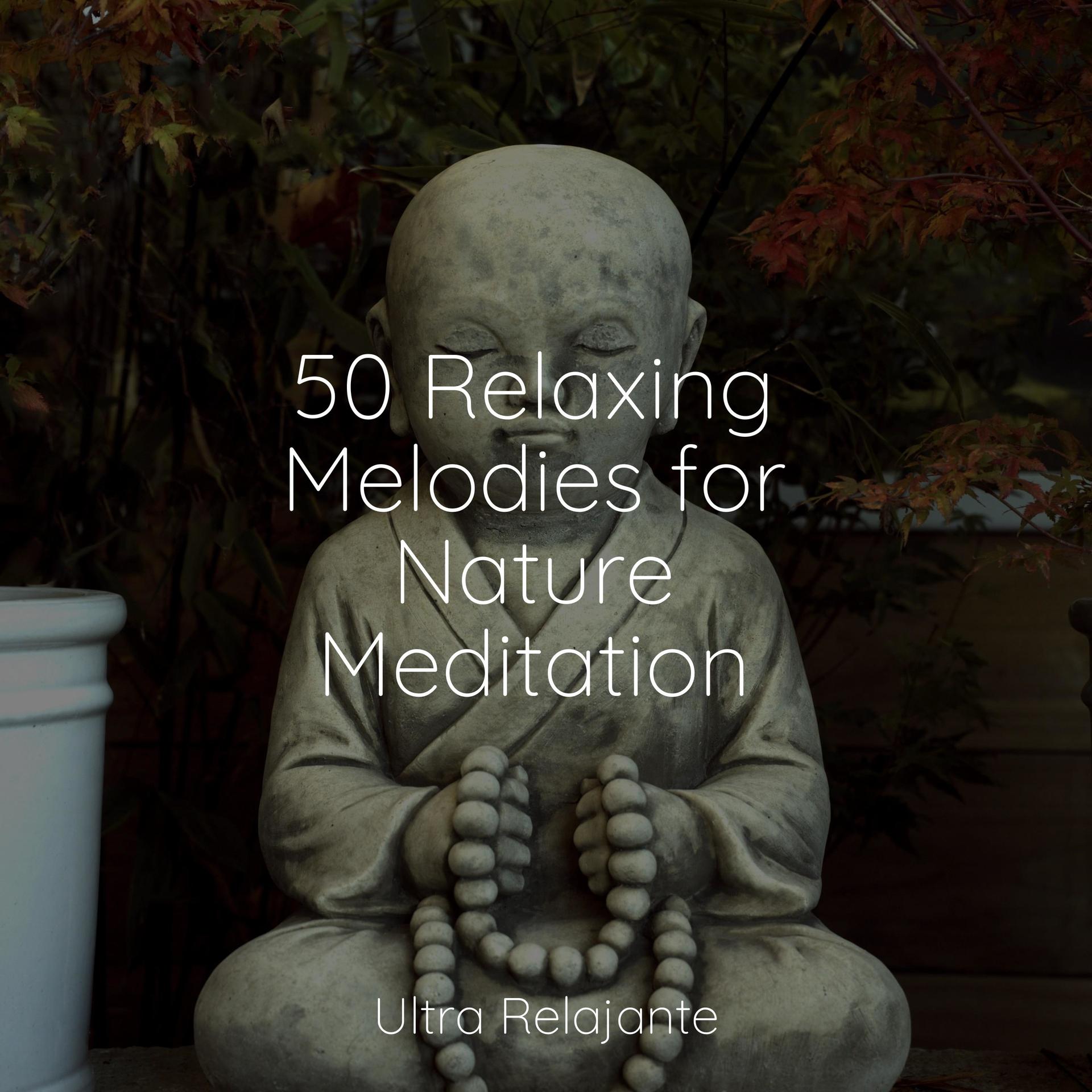 Natural Harmony Chakra Meditation Universerelaxing Spa Music