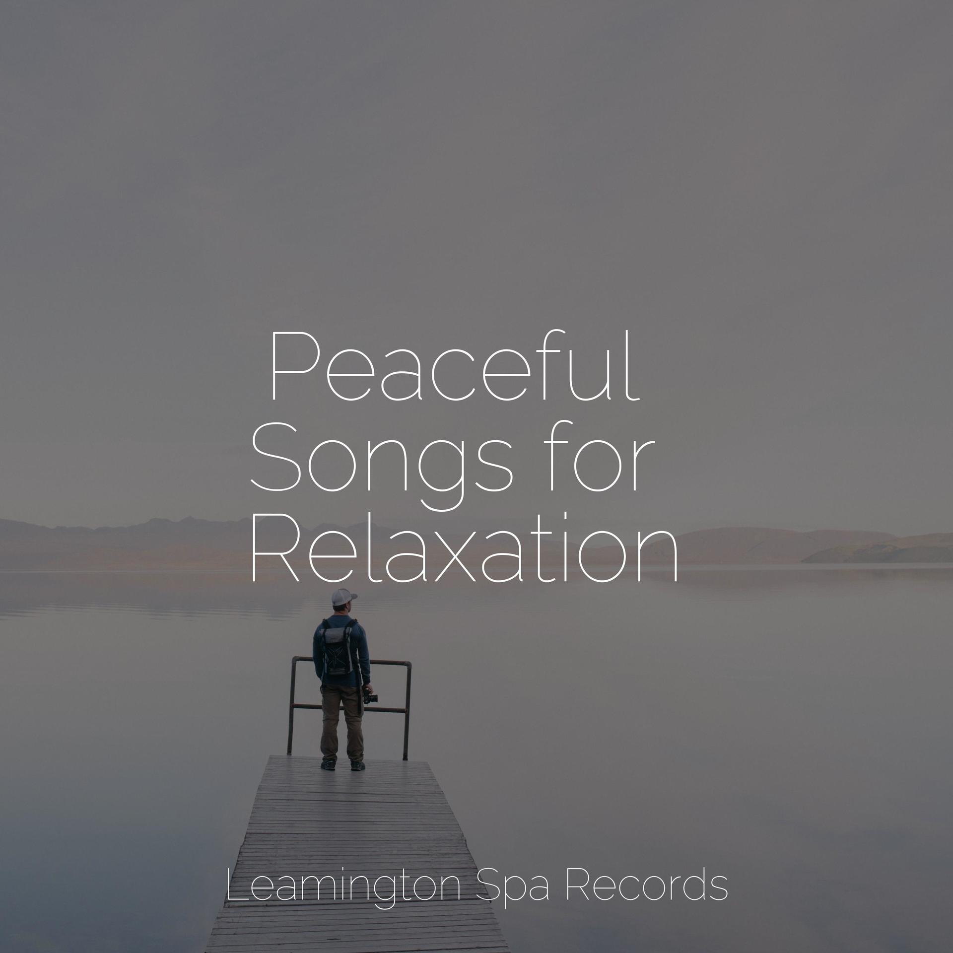 Sleeping Music_Relax Meditation Sleep、Sons Da Natureza & Relaxamento ...