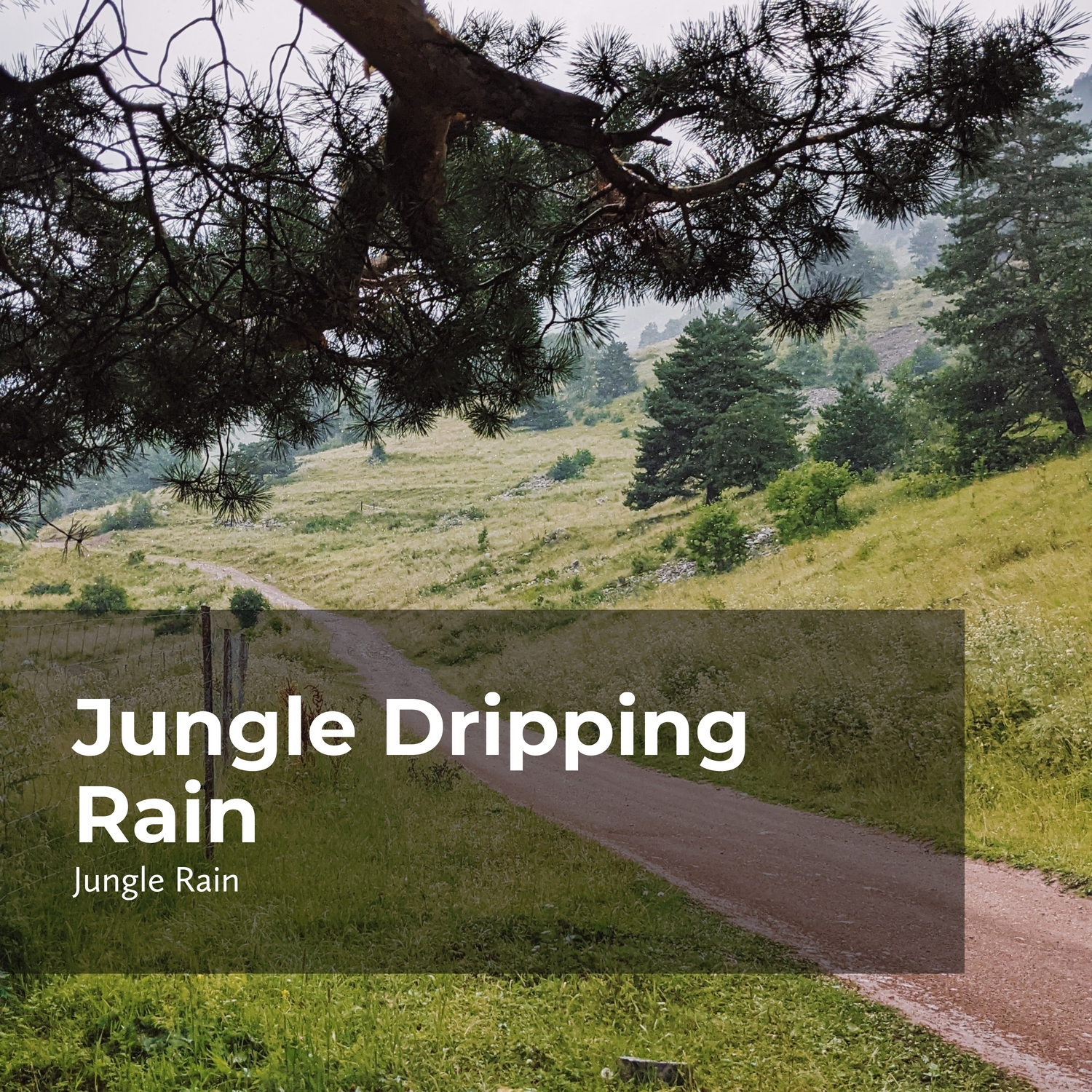 Tropical Jungle Rain_Jungle Rain、Nature and Rain、Deep Rain Sampling_高音质