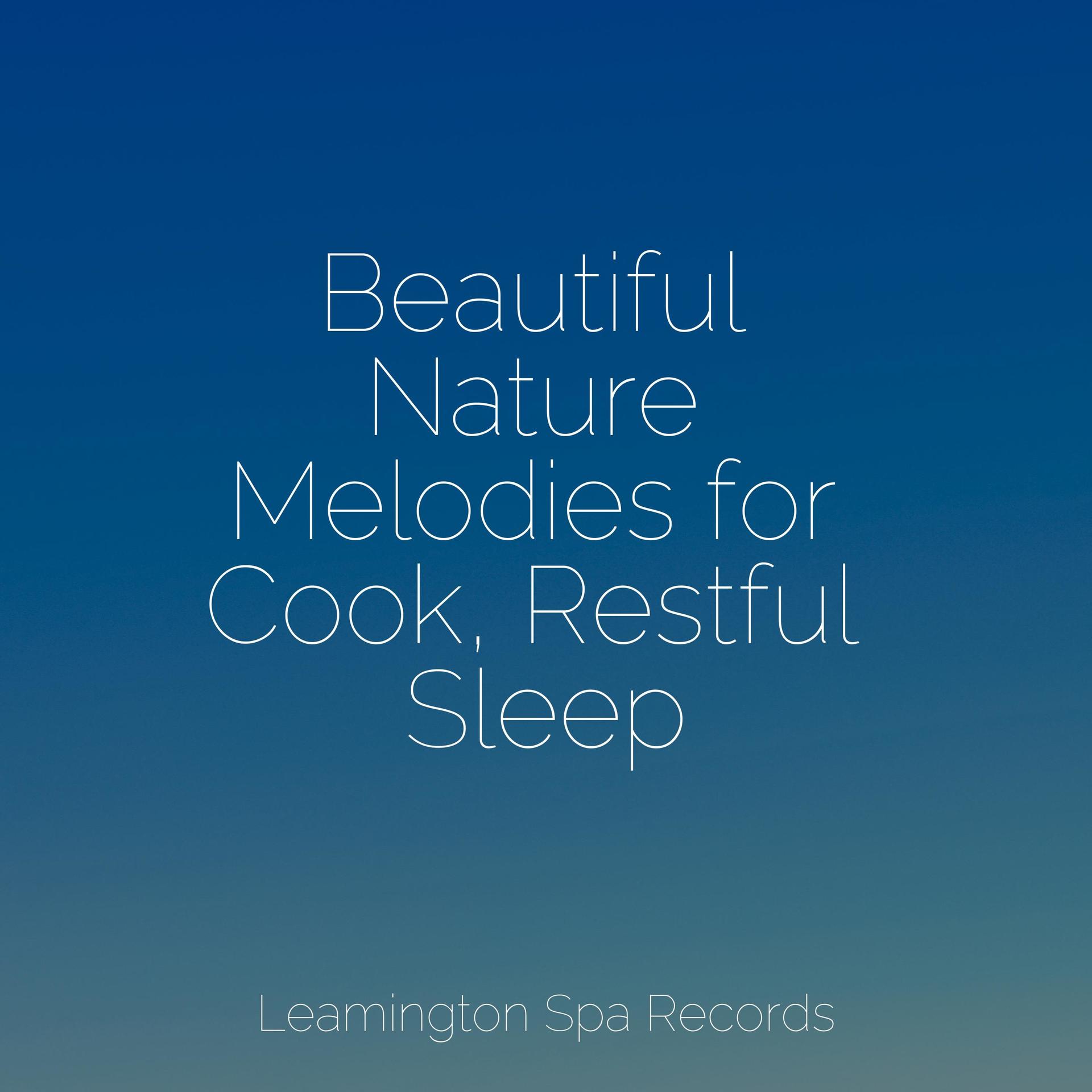 a-state-of-calm-zen-meditate-soothing-white-noise-for-infant-sleeping