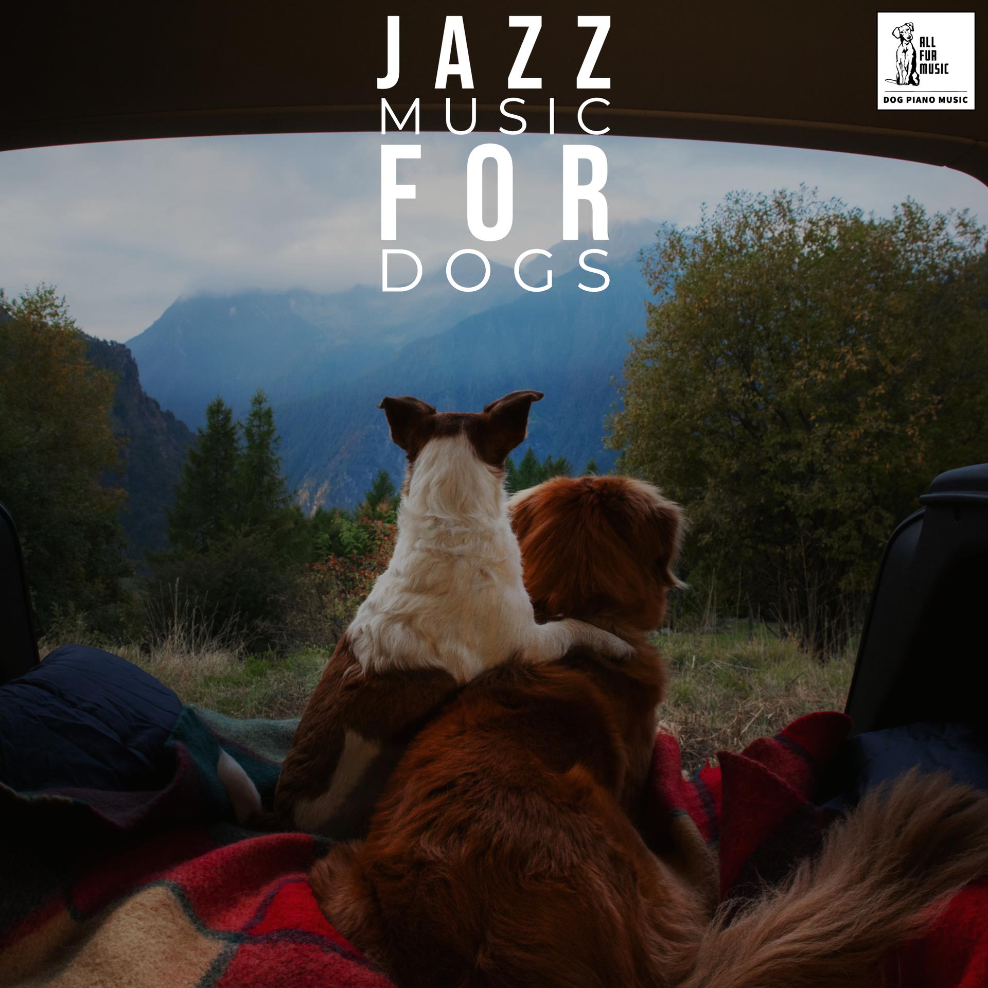 does-music-help-dogs-sleep-music-for-dog-s-ears-calming-music-for-dogs