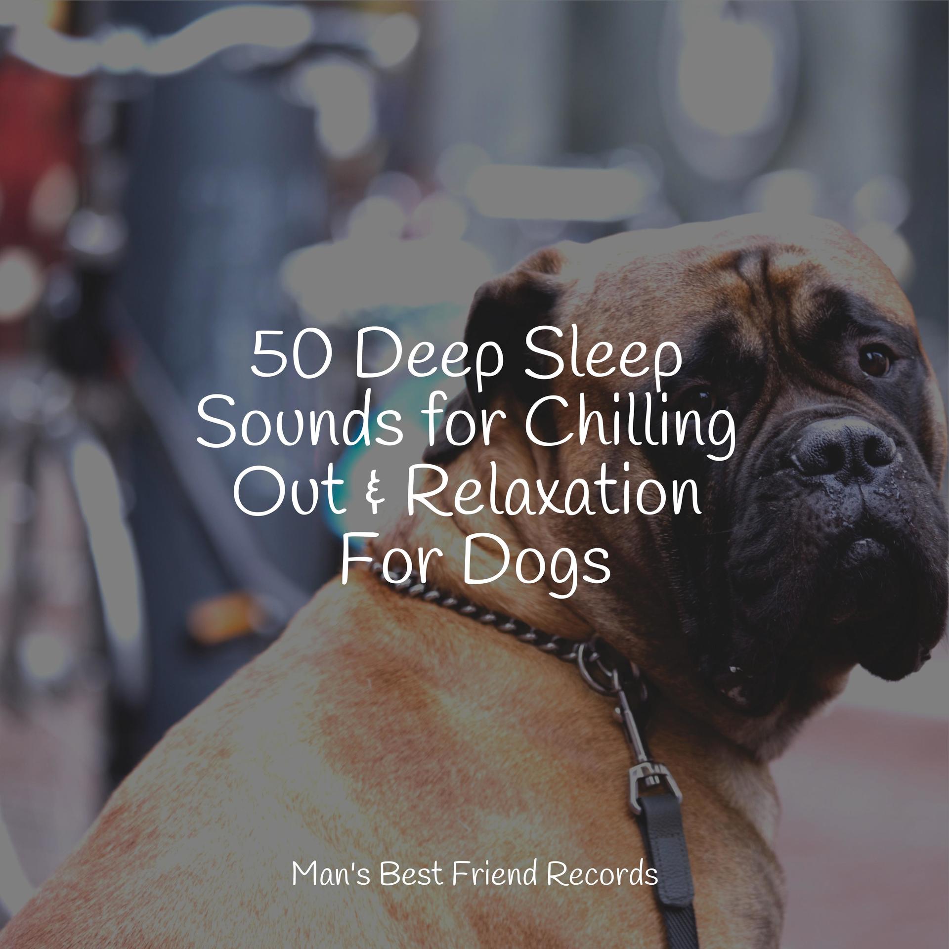 sleepy-head-dog-music-sleepy-dogs-music-for-calming-dogs-sleepy