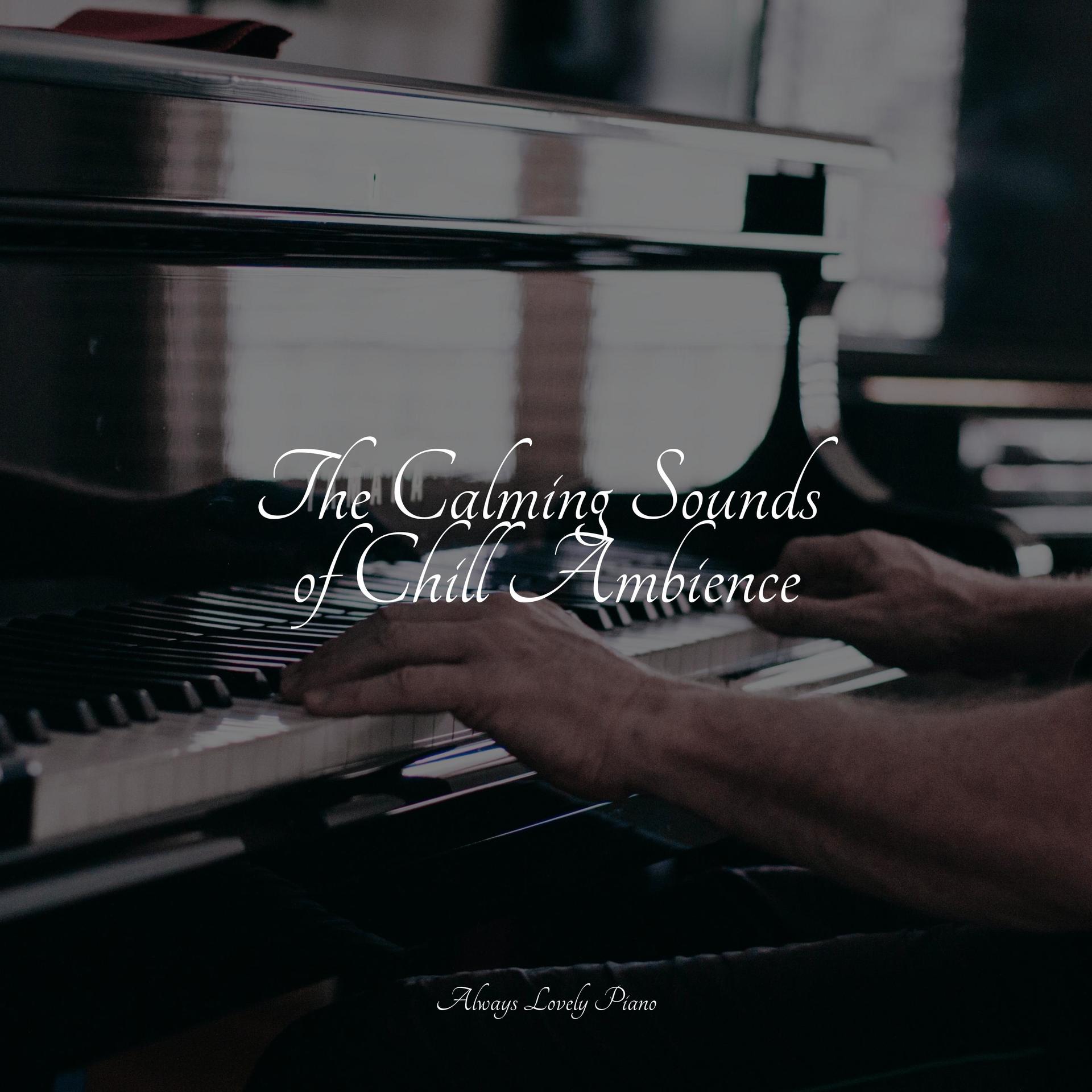 Relaxation Zone Study Piano Simply Piano Relaxation Zone relaxation-zone-study-piano-simply-piano-relaxation-zone