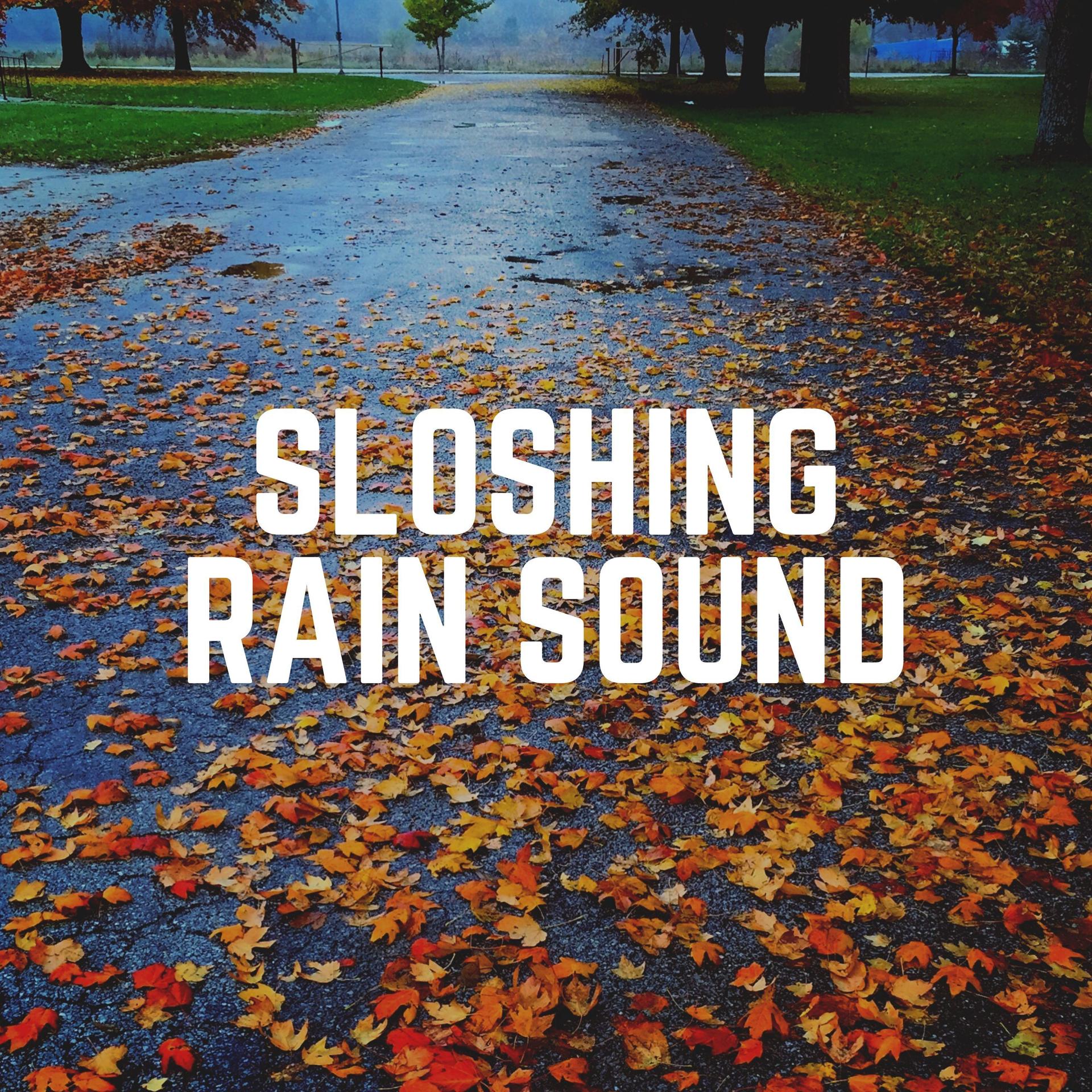 Melancholy Rain Sounds, Pt. 23_Rain Drops for Sleep_高音质在线试听_Melancholy