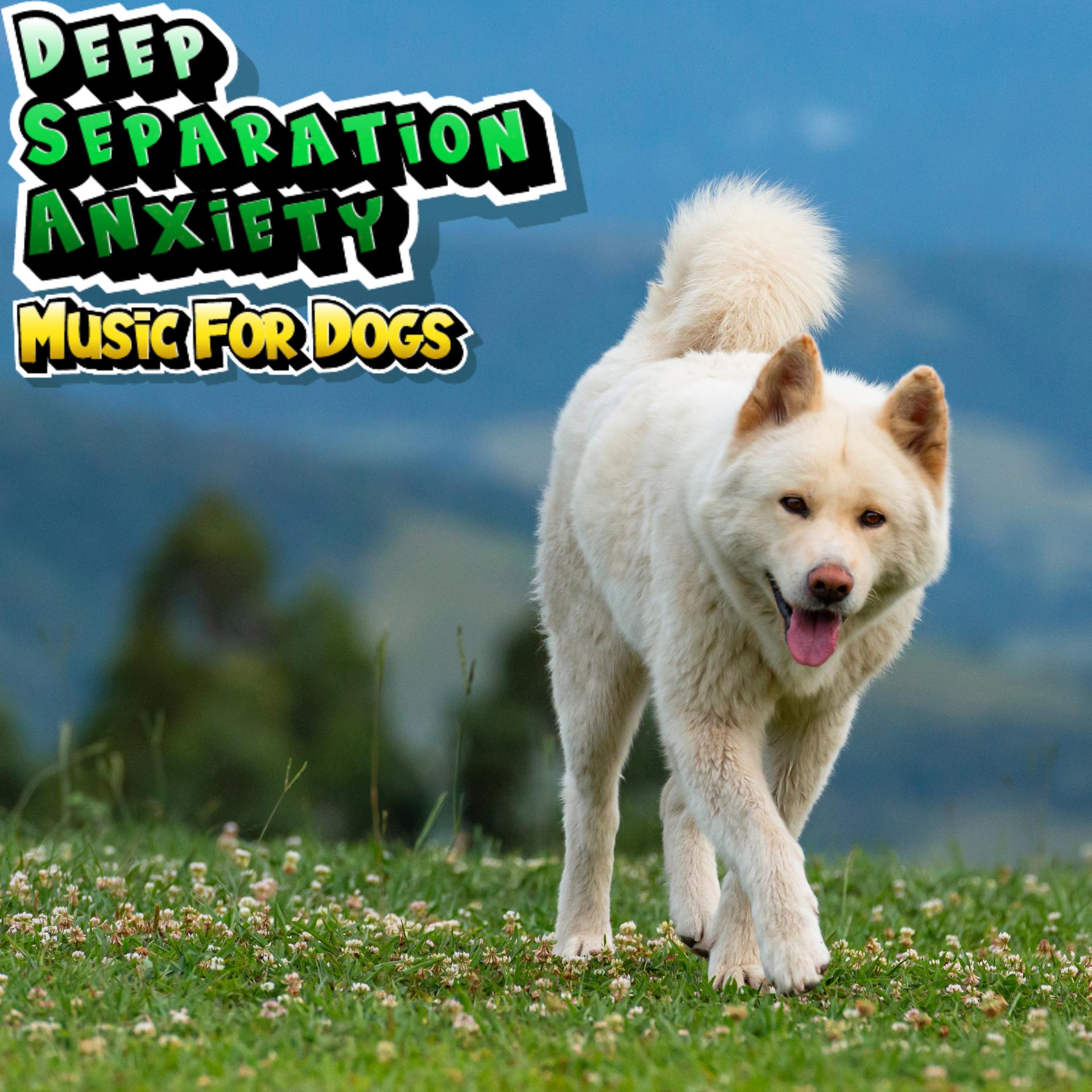 soothing-music-for-puppies-deep-separation-anxiety-music-for-dogs