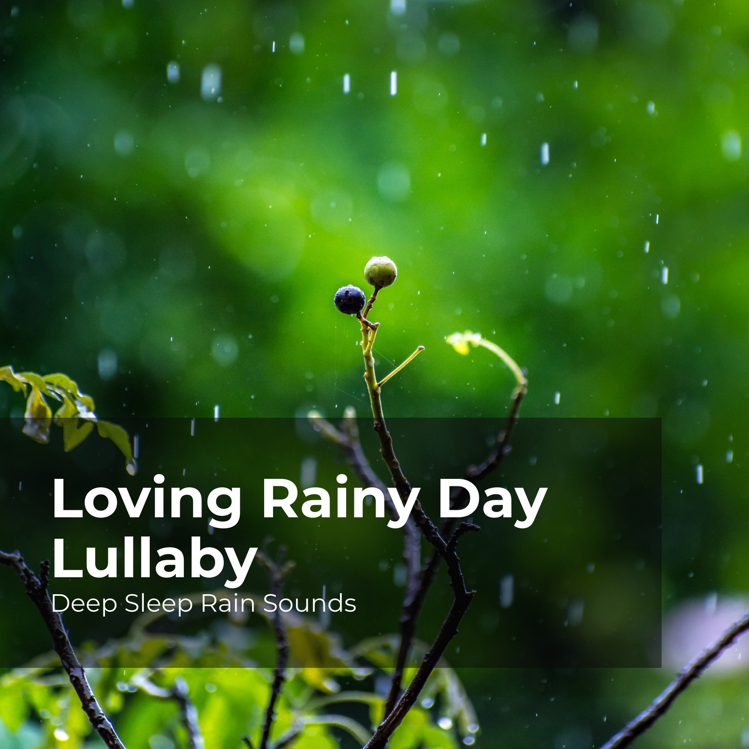 Sounds Of Rain To Help You Sleeppodcast All.Html - ejnc6tu