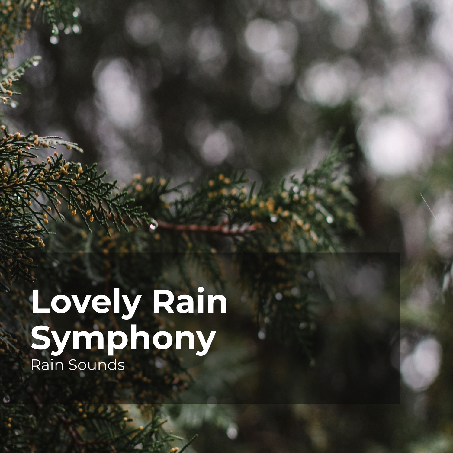 Tuneful Rain Showers Natural Rain Sounds For SleepingRain Storm Sample