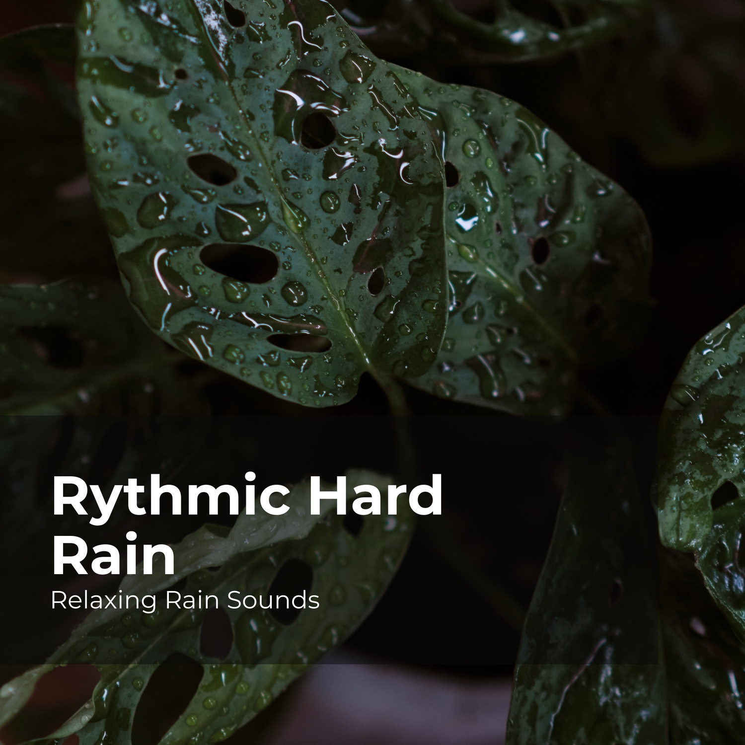 Relaxing Rain And Thunder Sounds For Sleeping - q06mnd8