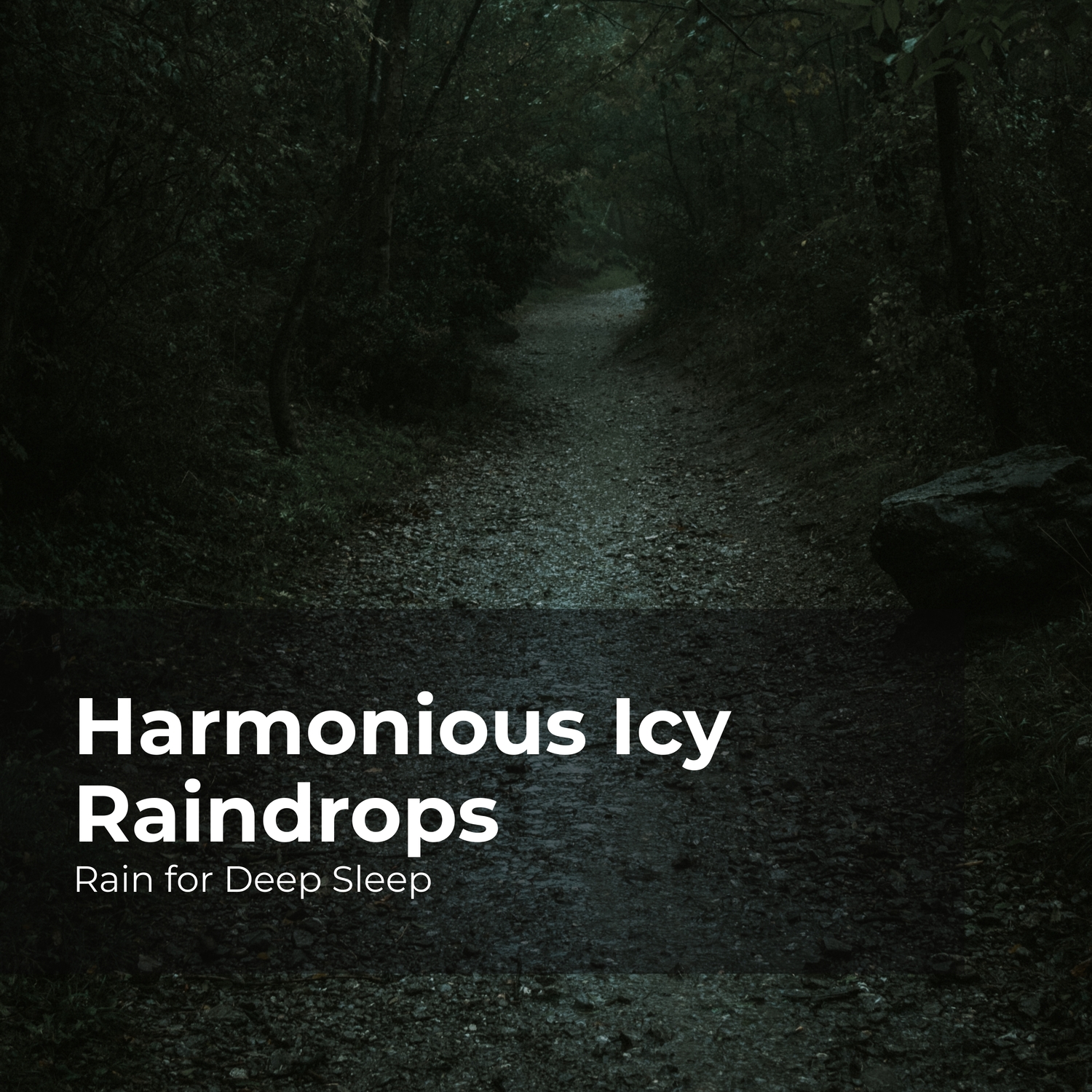 Rain Tranquil Snooze Rain For Deep Sleep Ambient Rain Gentle Rain rain-tranquil-snooze-rain-for-deep-sleep-ambient-rain-gentle-rain