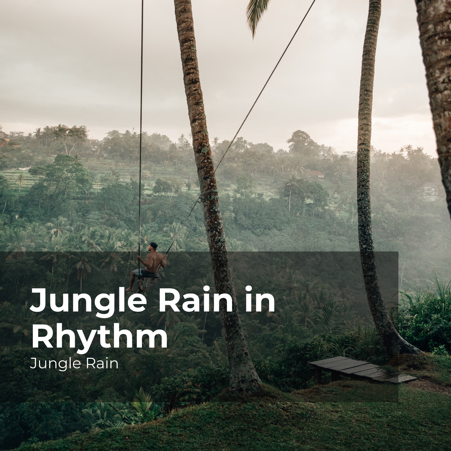 Jungle Windy Day_Jungle Rain、Nature and Rain、Deep Rain Sampling_高音质在线试听