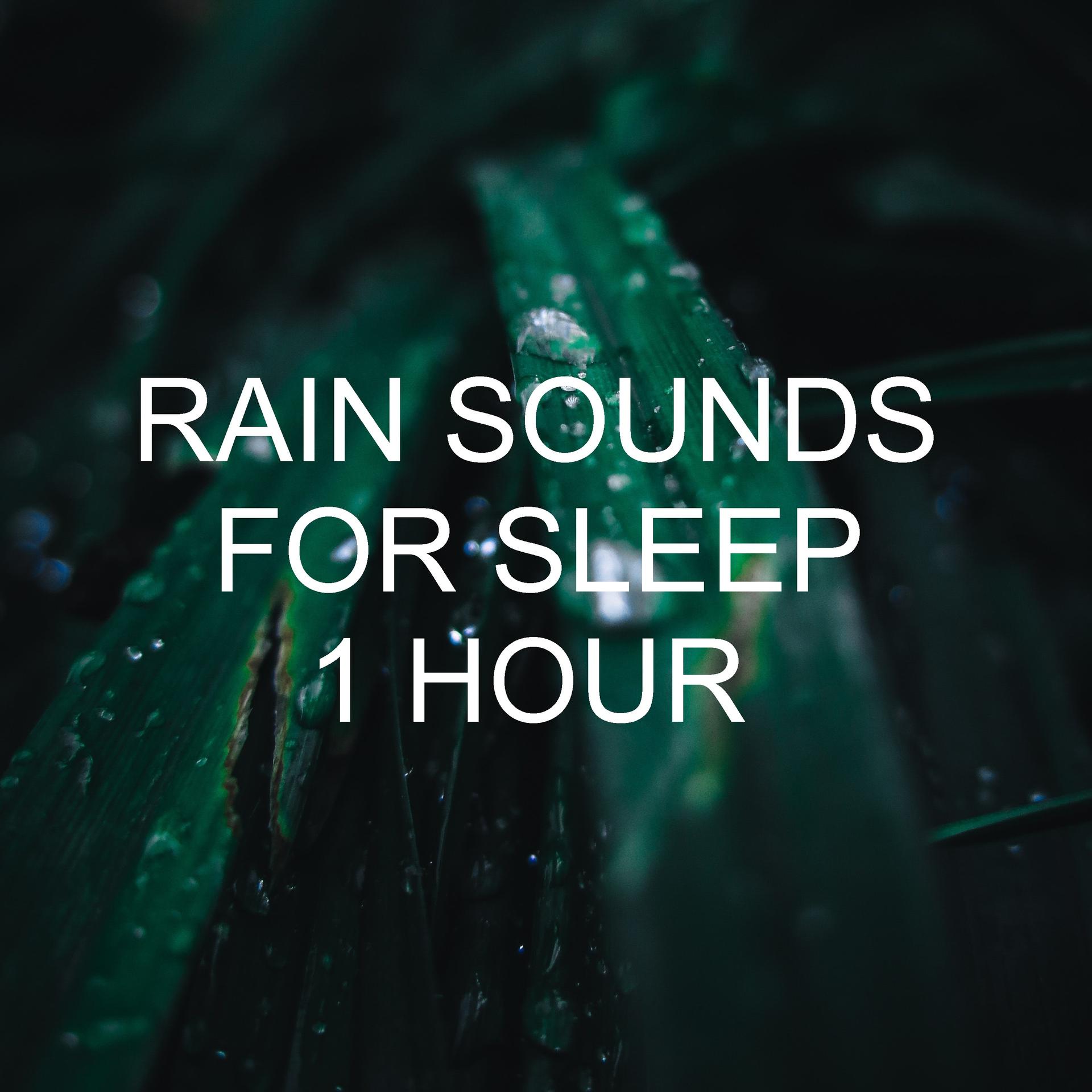 Top Asmr Tiktoks: Mikki Marie'S Relaxing Soundscapes - 0kwle3k