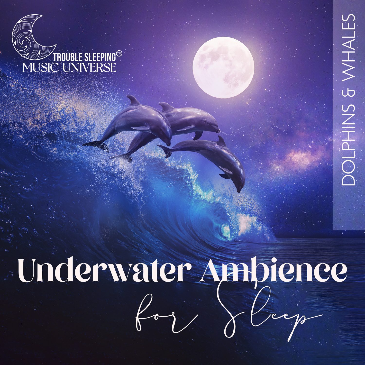 Explore Miya'S Music Universe - ibk5vyb