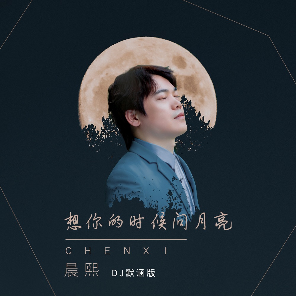 想你的时候问月亮_晨熙_高音质在线试听_想你的时候问月亮歌词|歌曲