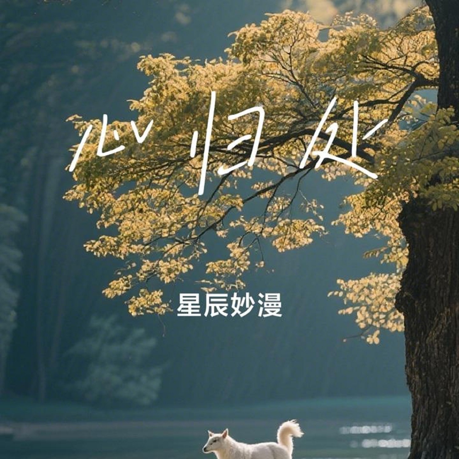 星辰妙漫 心归处