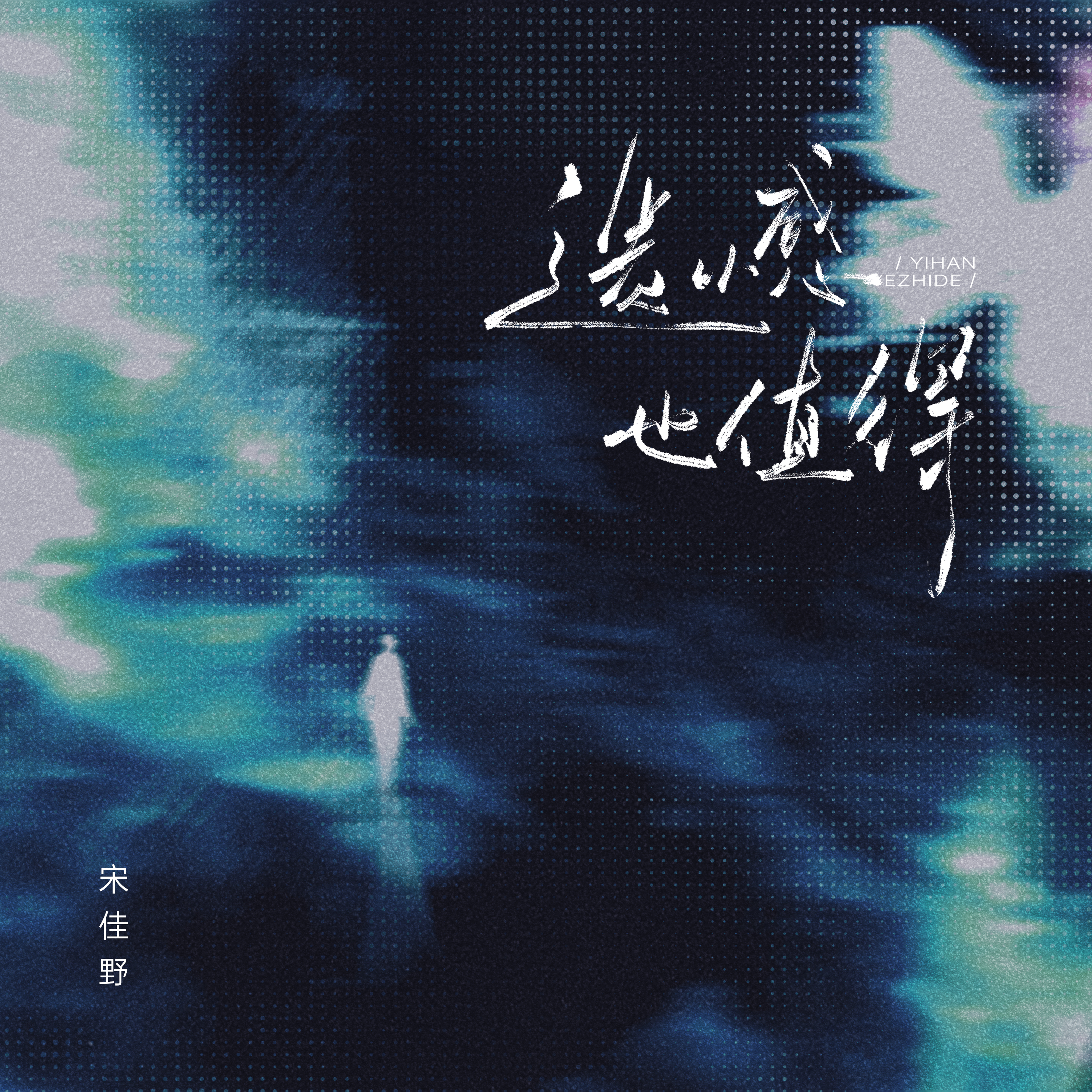 宋佳野 遗憾也值得