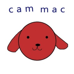 毕业の纪念 cammac 歌曲列表全部播放播放全选01柴cam coppy