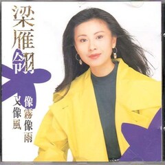 梁雁翎《像雾像雨又像风》下载高音质百度云盘MP3格式 第1张 梁雁翎《像雾像雨又像风》下载高音质百度云盘MP3格式 第1张