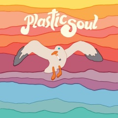 plasticsoul