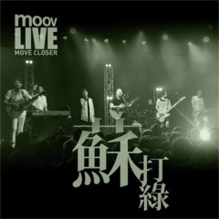 说了再见以后 (MOOV Live 2013)