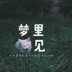 梦里见歌手:人行道乐队发行时间:2016-11-17简介"梦里见"这三个字