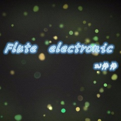Flute electronic