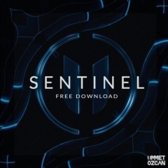 Sentinel (Original Mix)