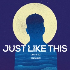 Just Like This (Remix)
