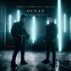 Ocean (remix：Martin Garrix、Cesqeaux)