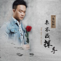 朱宸辉 来不及挥手
