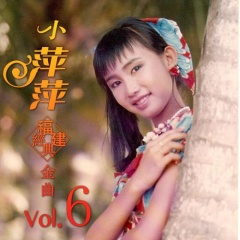 吴泓君 - 小萍萍福建经典金曲, vol. 6