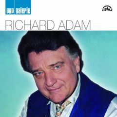 richard adam pop galerie